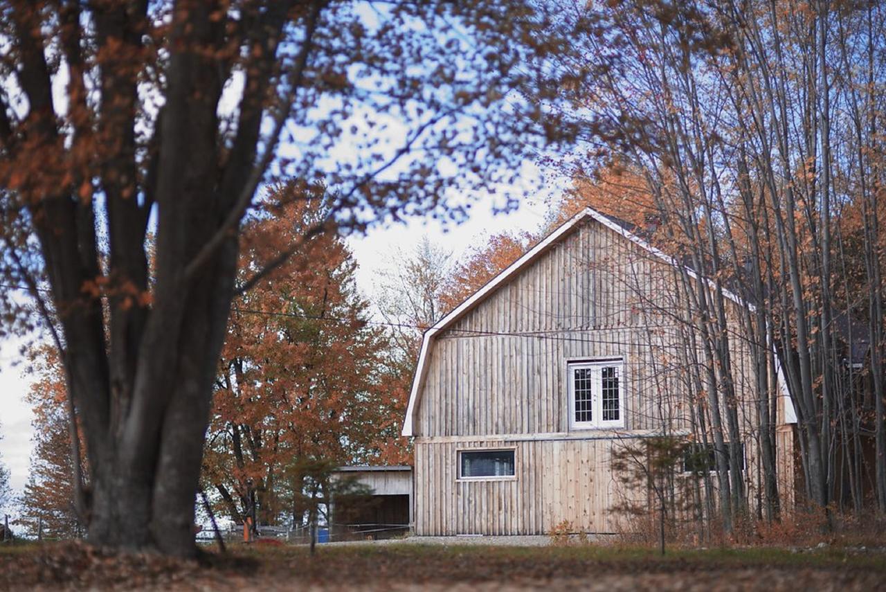 Gite O'Bordeleau (Adults Only) Luskville Exterior photo